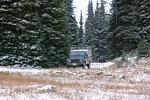Whipsaw Oct 2011 024