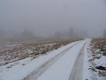 Whipsaw Oct 2011 027
