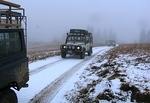 Whipsaw Oct 2011 029