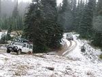 Whipsaw Oct 2011 031
