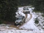 Whipsaw Oct 2011 034