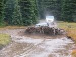 Whipsaw Oct 2011 035