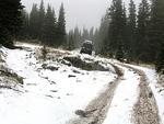 Whipsaw Oct 2011 038