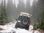 Whipsaw Oct 2011 039