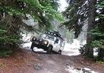 Whipsaw Oct 2011 040
