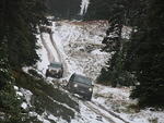 Whipsaw Oct 2011 060