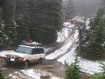 Whipsaw Oct 2011 064
