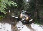 Whipsaw Oct 2011 066