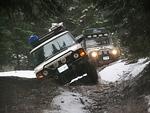 Whipsaw Oct 2011 068