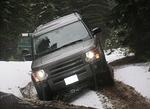 Whipsaw Oct 2011 075