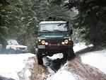 Whipsaw Oct 2011 078