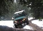Whipsaw Oct 2011 079