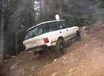 Whipsaw Oct 2011 085