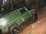 Whipsaw Oct 2011 089