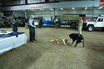 Founders Day_MG_0095.jpg