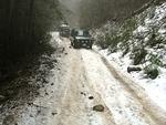 Snowflake Chase 2011 113