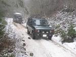 Snowflake Chase 2011 114