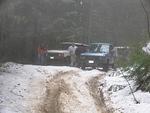 Snowflake Chase 2011 115