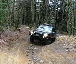 Snowflake Chase 2011 143