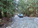 DSC09779.JPG