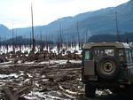 Maybe the beach looks better in the summer or with some water in the lake?