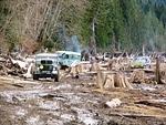 East Stave Lake - March 2011 108