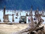 East Stave Lake - March 2011 117