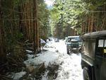 DSCN0728.JPG