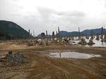 DSCN0752.JPG