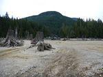 DSCN0753.JPG