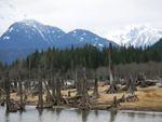 DSCN0754.JPG