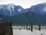 DSCN0755.JPG