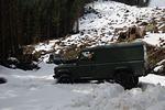 DSC_1699.JPG