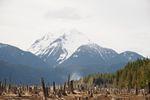 DSC_1865.JPG