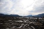 DSC_1866.JPG