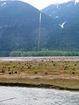 USA Border line shaved through the trees at Ross lake Silver Skagit Valley 058