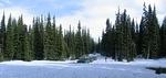 Whipsaw Trail July 2011 029