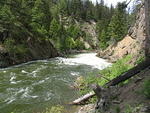 Whipsaw Trail July 2011 064