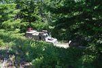 DSC_0062.JPG