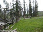 IMG_0645.JPG