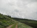 IMG_0650.JPG