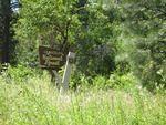 IMG_0680.JPG