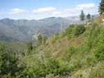 IMG_0720.JPG