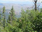 IMG_0947.JPG