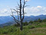 IMG_0959.JPG