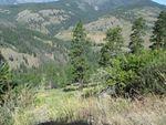 IMG_0969.JPG