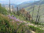 IMG_0976.JPG