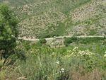 IMG_0979.JPG