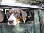 IMG_1055.jpg
