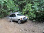 IMG_1081.jpg